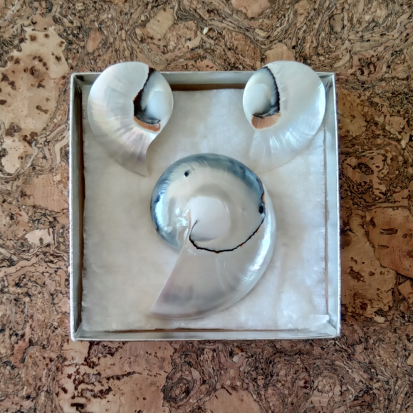 Spiral Sea Shell Statement Pin Brooch - Picture 4 of 4